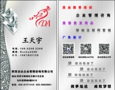 那木措湖牛肉 源自纯净高原的特色美食招牌